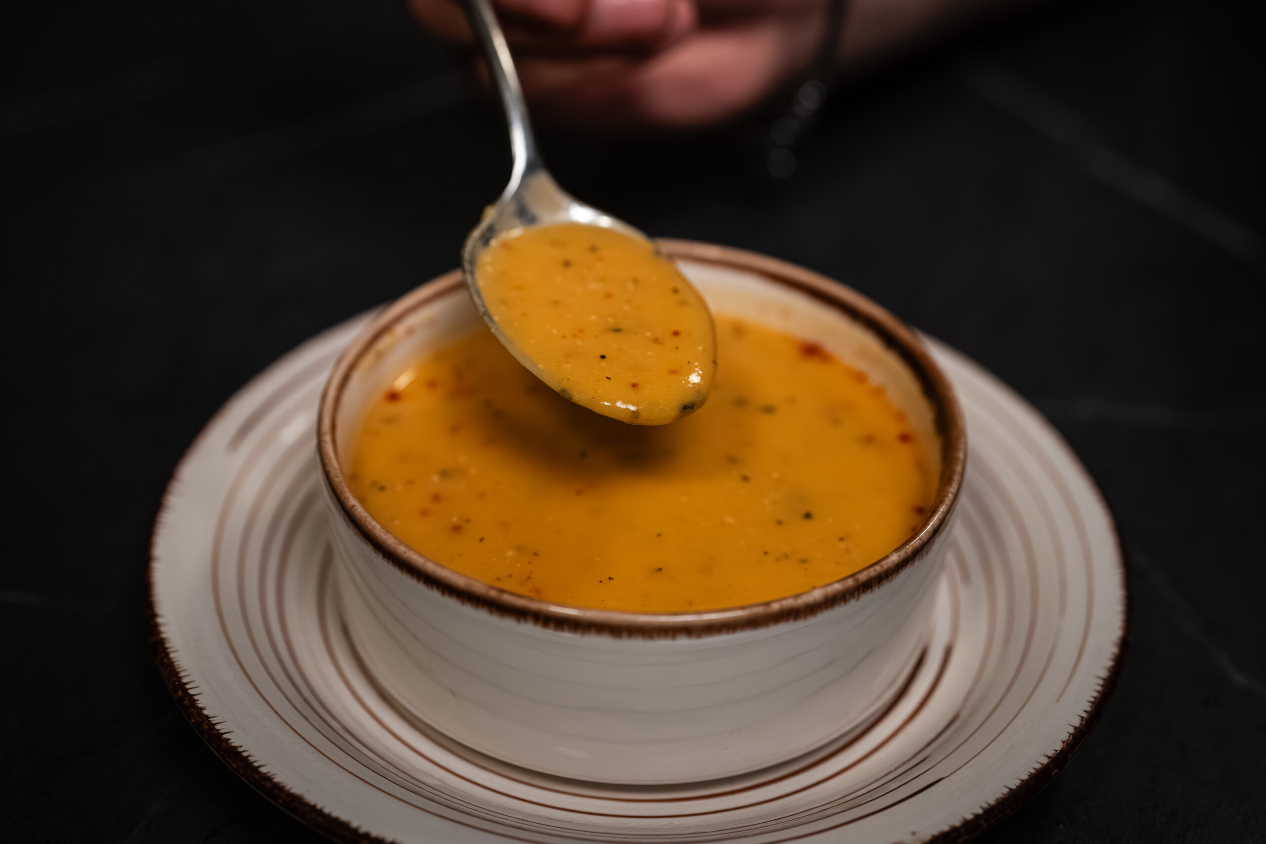 Sopa del día